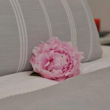 Thalassa Апартаменты