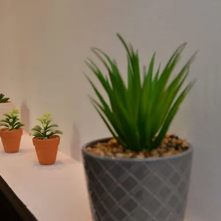 Апартаменты Thalassa Палеокастрица